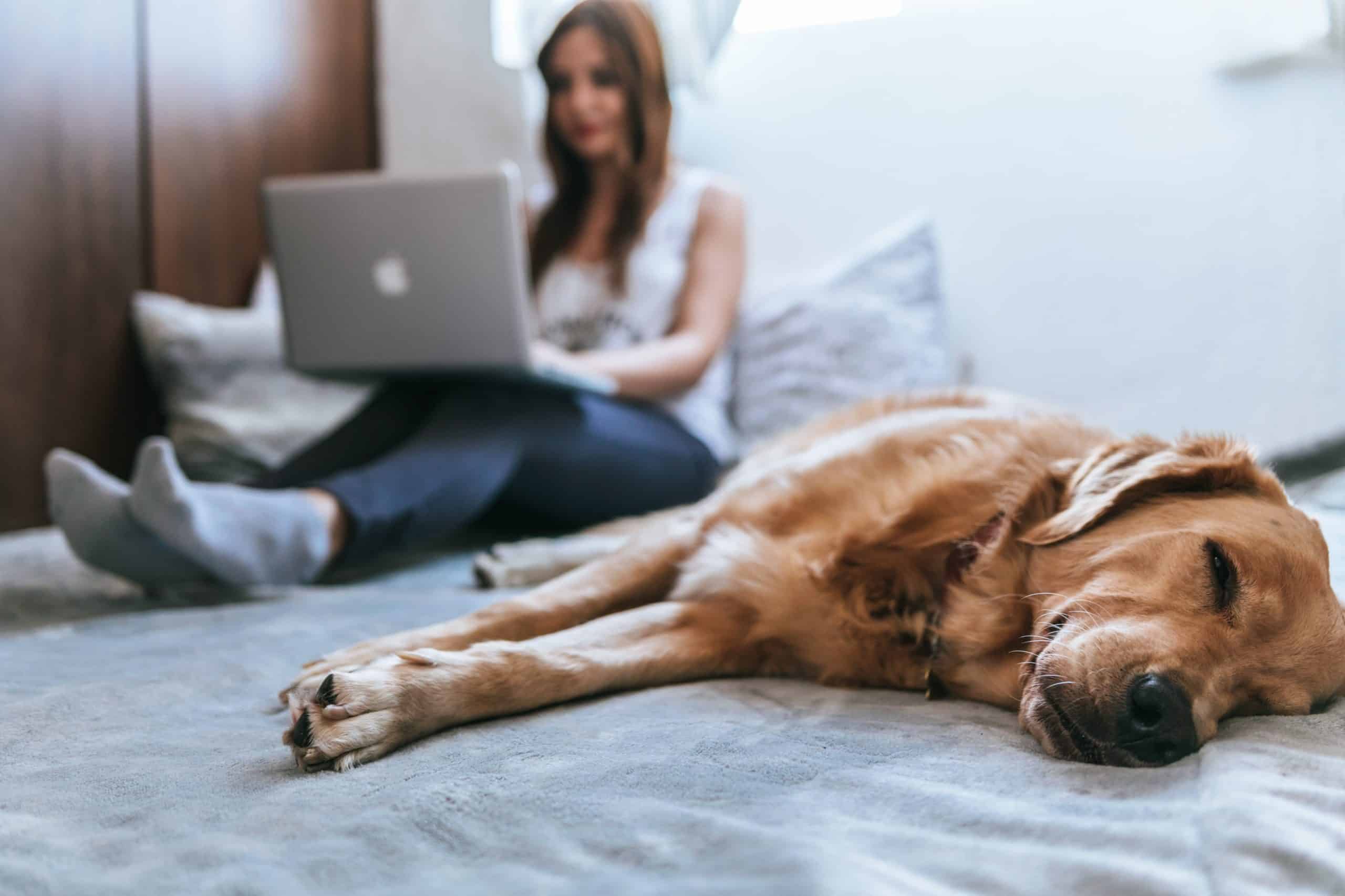 bruno-cervera-azsk_6IMT3I-unsplash-scaled Telemedicine